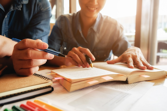 professional writer service